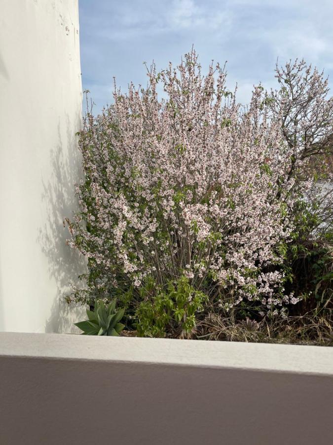 Odiáxere Casa Da Aldeia - Guest House מראה חיצוני תמונה
